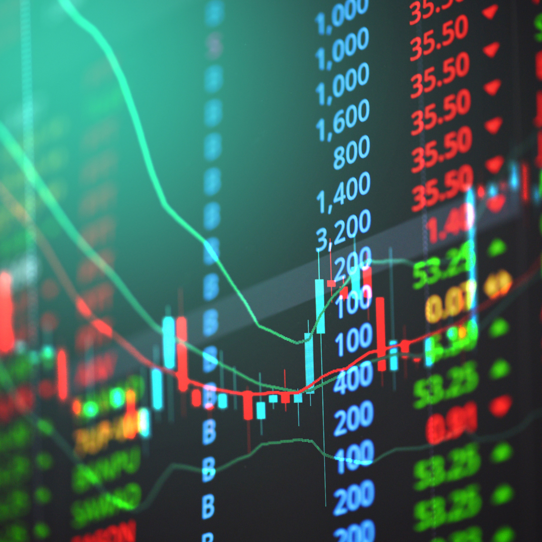 multibagger investing